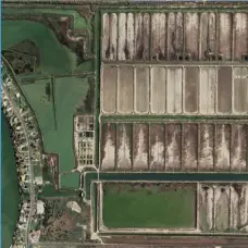 Restore Mangroves Creating a Circular Shrimp Farm
