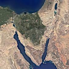 Regreening the SInai Peninsula